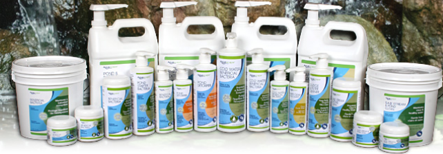 pool and spa chemicals